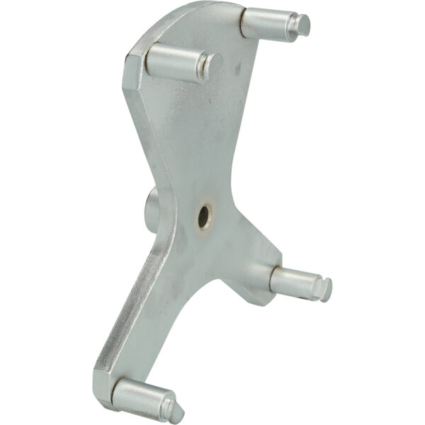 FOT_PRO_VAR_BT536009.1_SALL_AING_V1