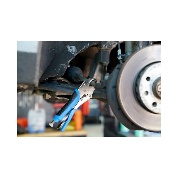 FOT_ANW_ALG_BT_BT065016.AW3_SALL_AQU_V1