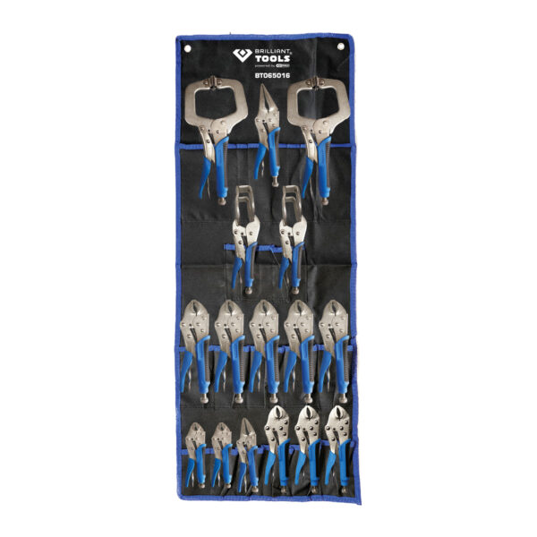 FOT_PRO_VAR_BT065016.1_SALL_AING_V1