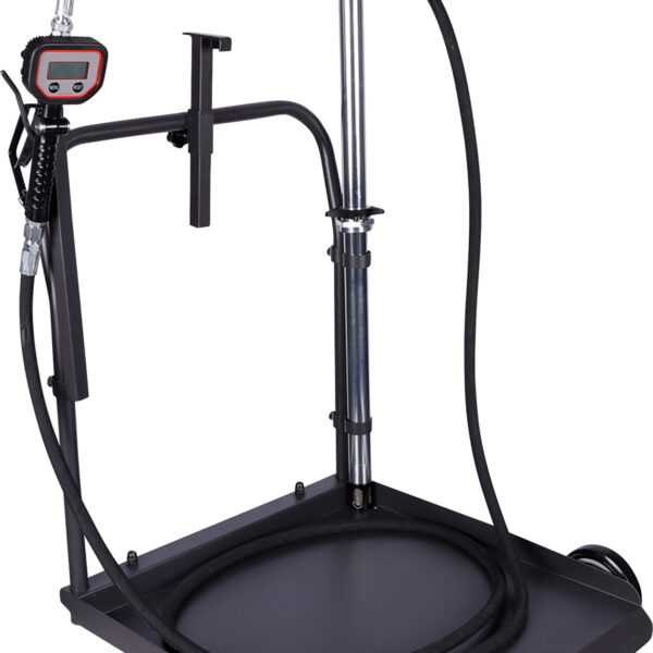 FOT_PRO_ALG_460.5230_SALL_AING_V1