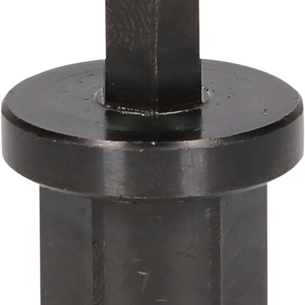 FOT_PRO_ALG_460.5281_SALL_AING_V1