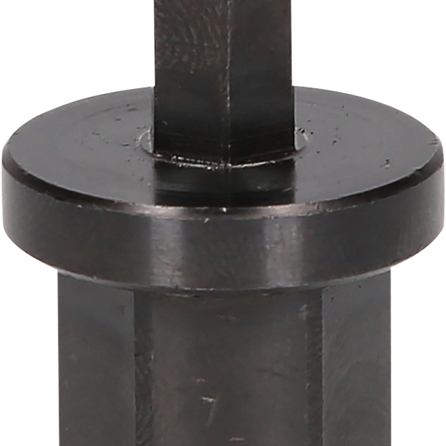 FOT_PRO_ALG_460.5281_SALL_AING_V1