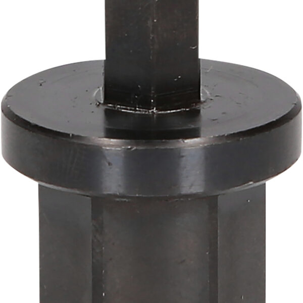 FOT_PRO_VAR_460.5281.2_SALL_AING_V1