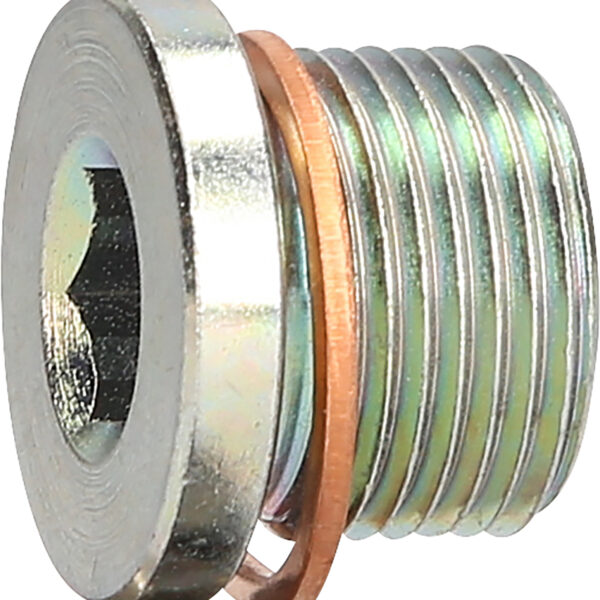 FOT_PRO_ALG_430.0614_SALL_AING_V1