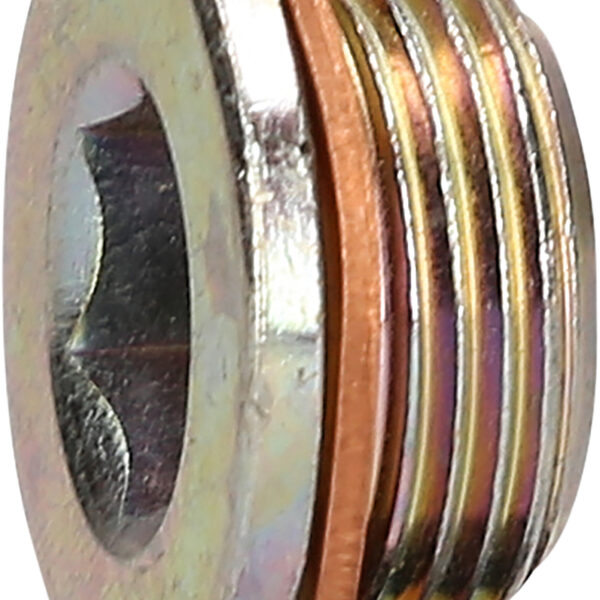 FOT_PRO_ALG_430.0612_SALL_AING_V1