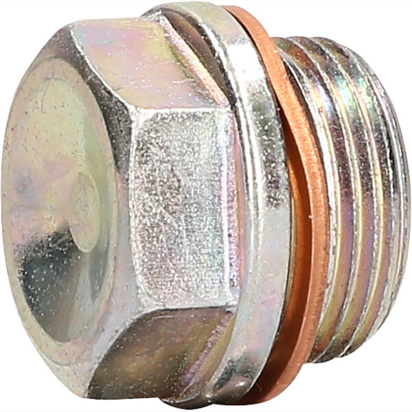 FOT_PRO_ALG_430.0610_SALL_AING_V1