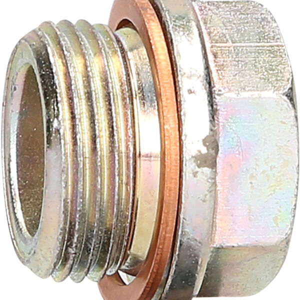 FOT_PRO_VAR_430.0610.2_SALL_AING_V1