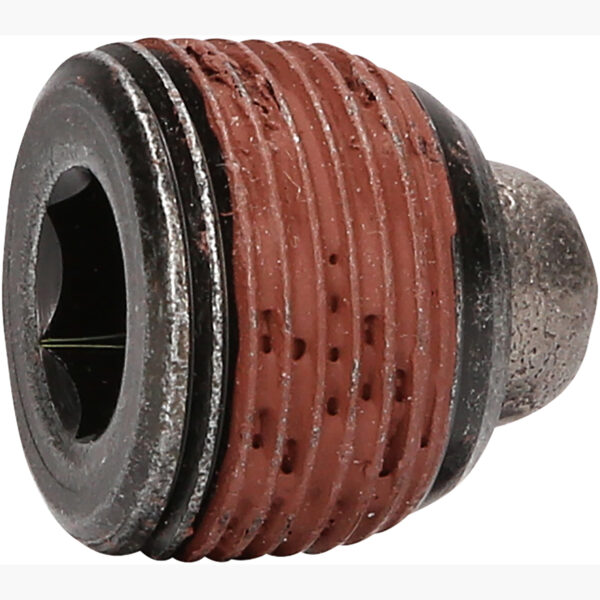 FOT_PRO_ALG_430.0608_SALL_AING_V1