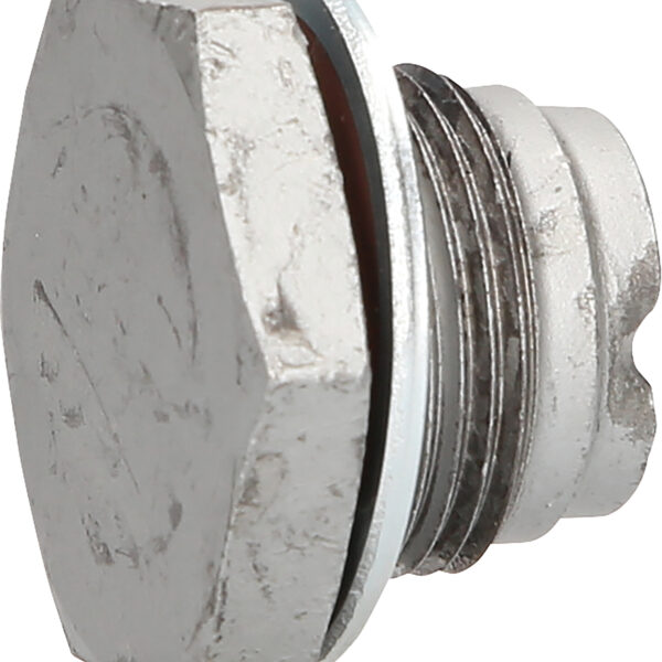 FOT_PRO_ALG_430.0607_SALL_AING_V1