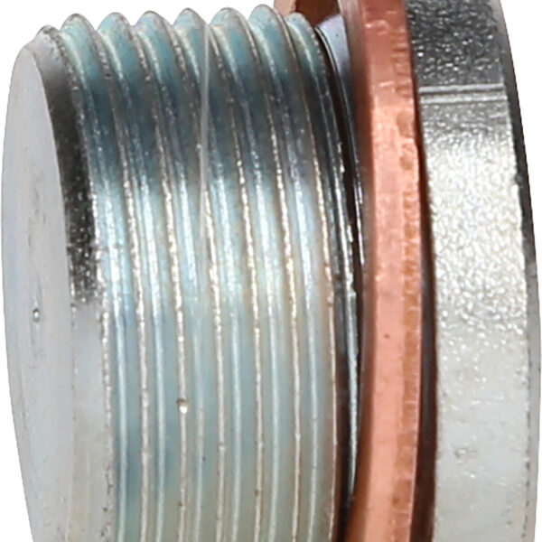 FOT_PRO_VAR_430.0604.2_SALL_AING_V1