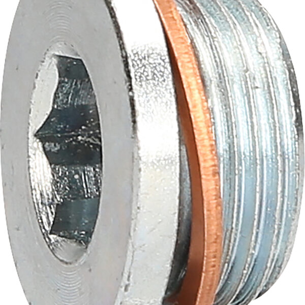 FOT_PRO_ALG_430.0602_SALL_AING_V1