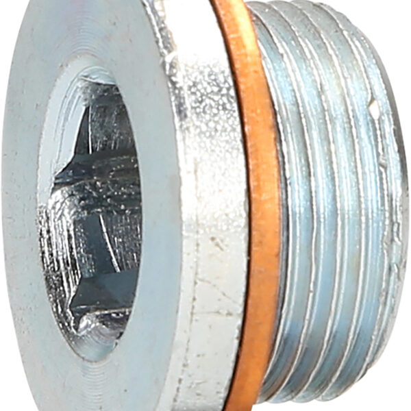 FOT_PRO_ALG_430.0601_SALL_AING_V1