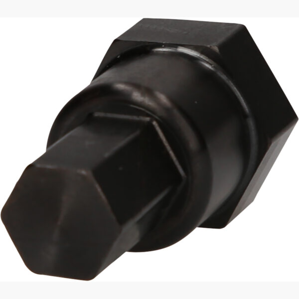 FOT_PRO_ALG_460.5077_SALL_AING_V1