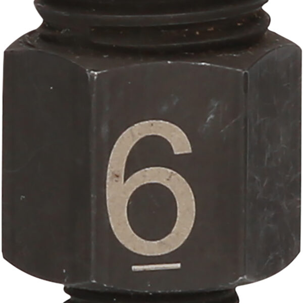 FOT_PRO_ALG_460.4442_SALL_AING_V1