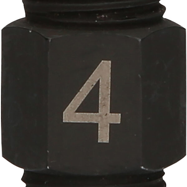 FOT_PRO_ALG_460.4439_SALL_AING_V1