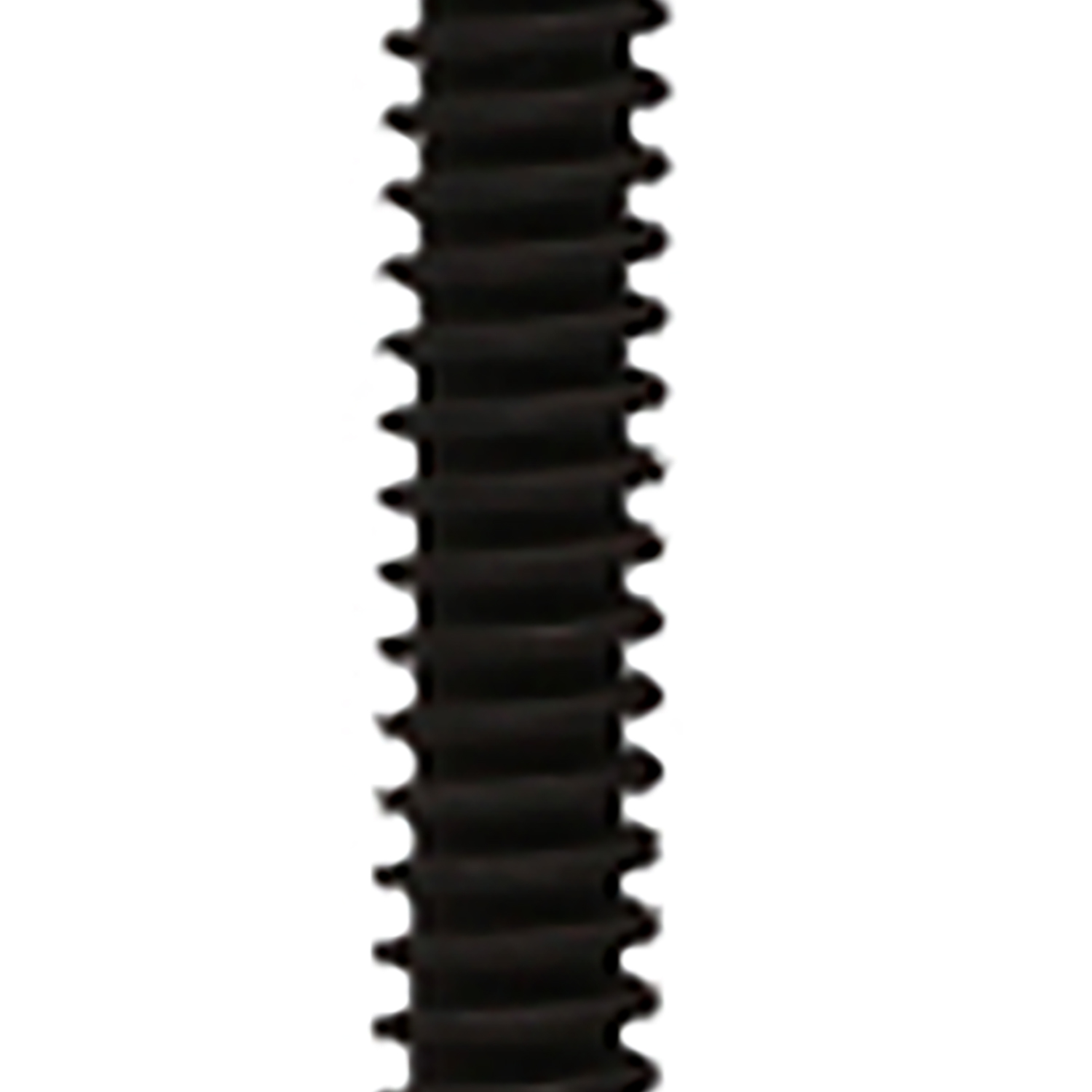 FOT_PRO_ALG_AUTO_460.0892_SALL_AING_V1