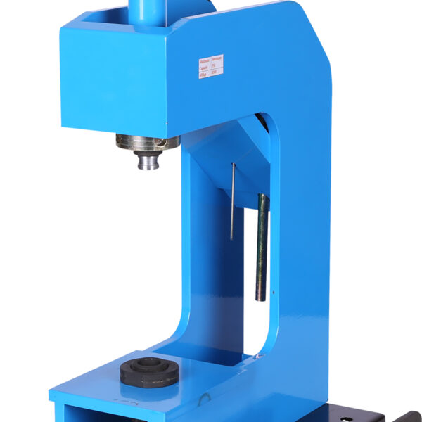 FOT_PRO_ALG_460.0605_SALL_AING_V1