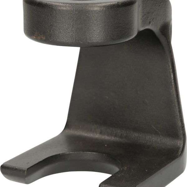 FOT_PRO_ALG_440.0195_SALL_AING_V1