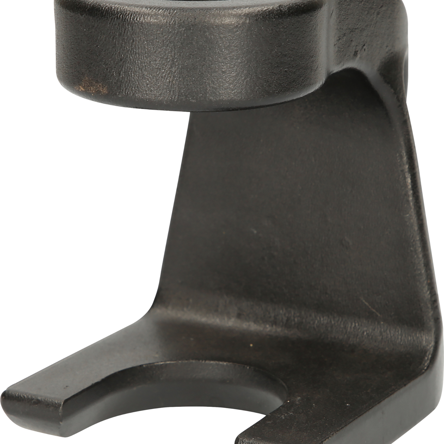 FOT_PRO_ALG_440.0195_SALL_AING_V1