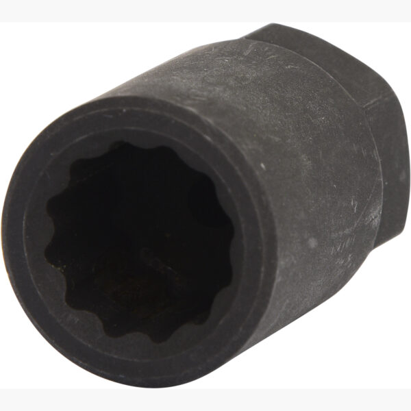 FOT_PRO_ALG_450.0368_SALL_AING_V1