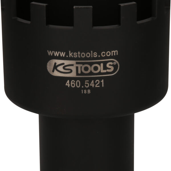 FOT_PRO_VAR_460.5421.4_SALL_AING_V1