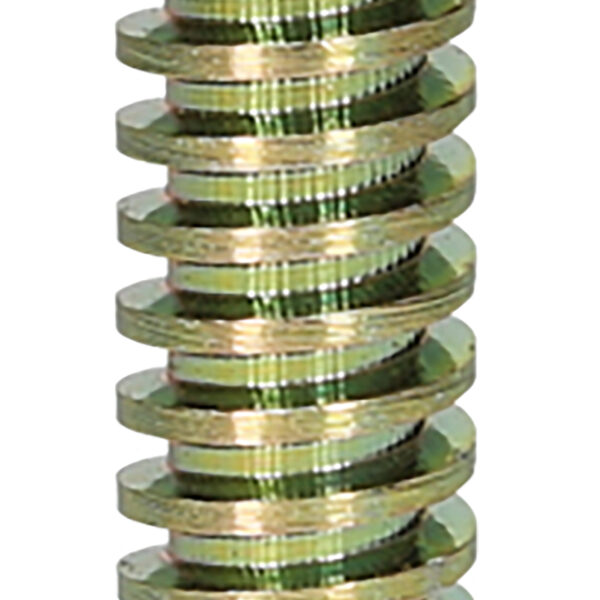 FOT_PRO_ALG_460.4862_SALL_AING_V1