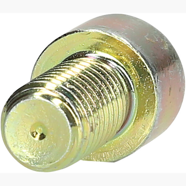 FOT_PRO_ALG_460.4839_SALL_AING_V1