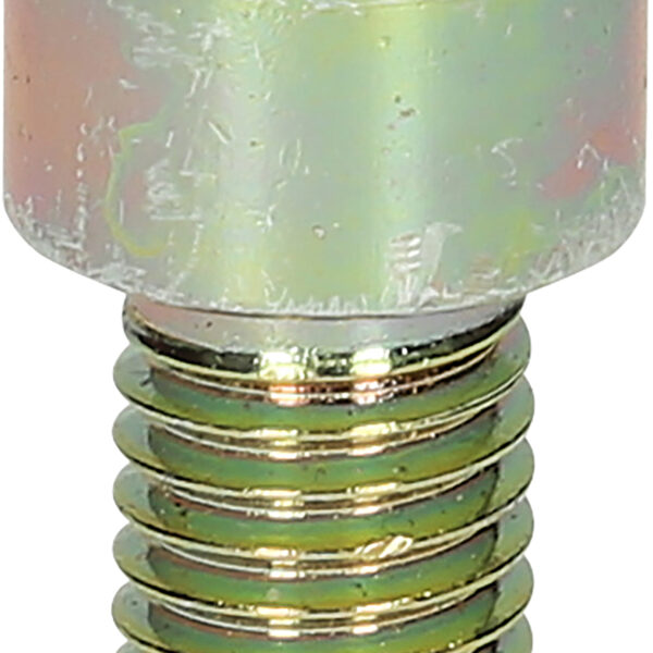 FOT_PRO_VAR_460.4839.4_SALL_AING_V1