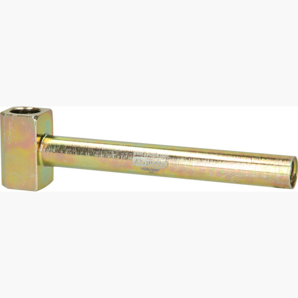 FOT_PRO_ALG_460.4837_SALL_AING_V1