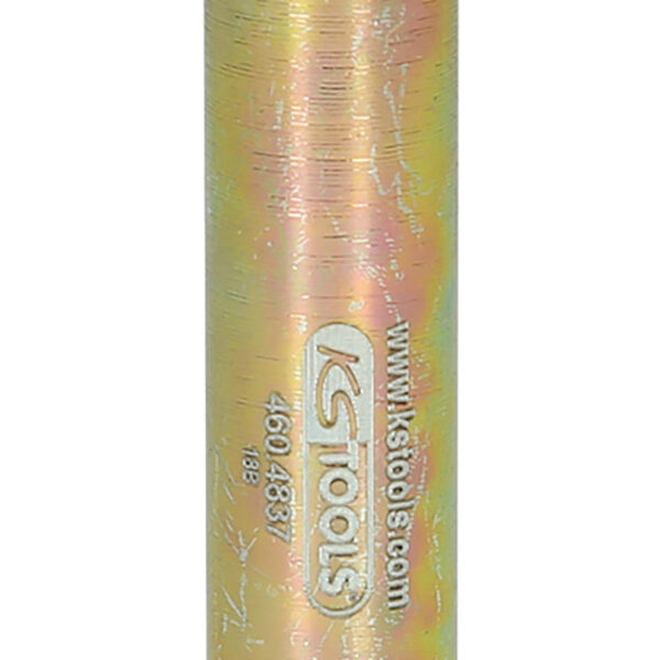 FOT_PRO_VAR_460.4837.4_SALL_AING_V1