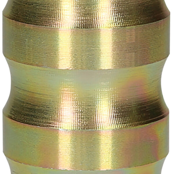 FOT_PRO_ALG_460.4696_SALL_AING_V1