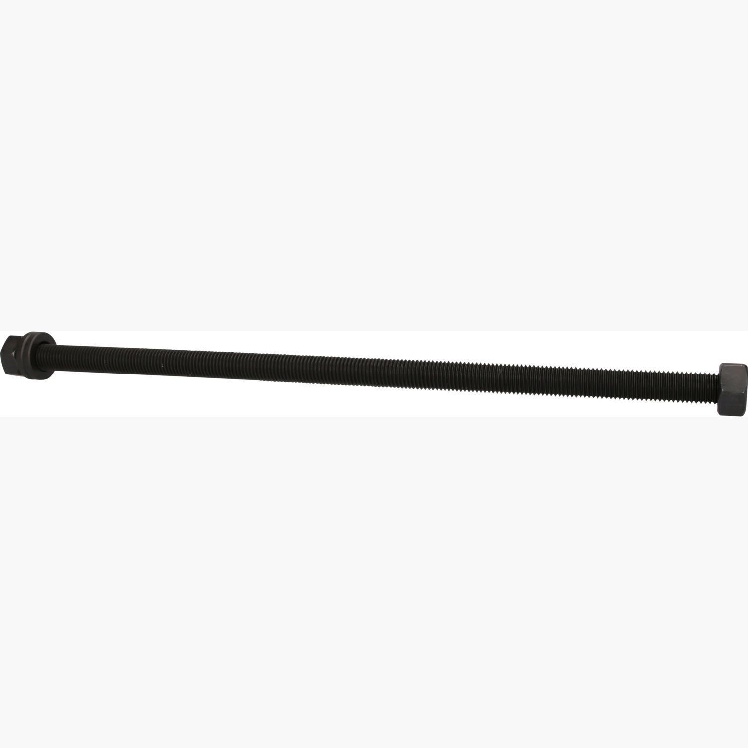 FOT_PRO_ALG_460.3761_SALL_AING_V1