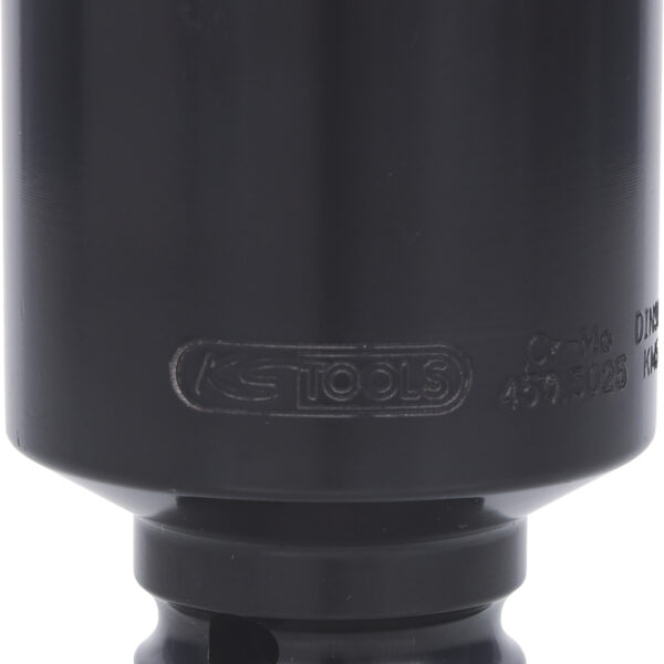 FOT_PRO_VAR_450.5025.4_SALL_AING_V1