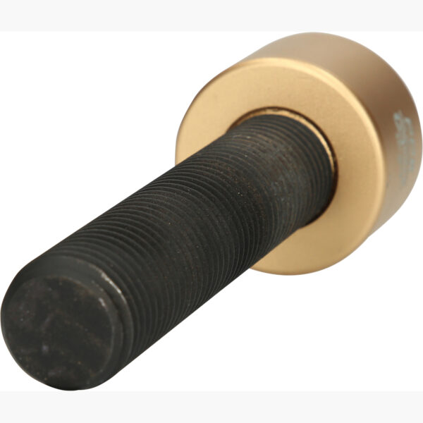 FOT_PRO_ALG_440.0616_SALL_AING_V1