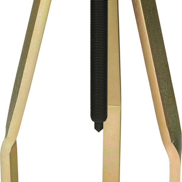 FOT_PRO_ALG_460.4870_SALL_AING_V1