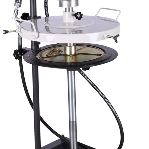 FOT_PRO_ALG_460.5695_SALL_AING_V1