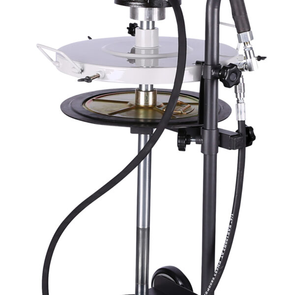 FOT_PRO_VAR_460.5695.2_SALL_AING_V1