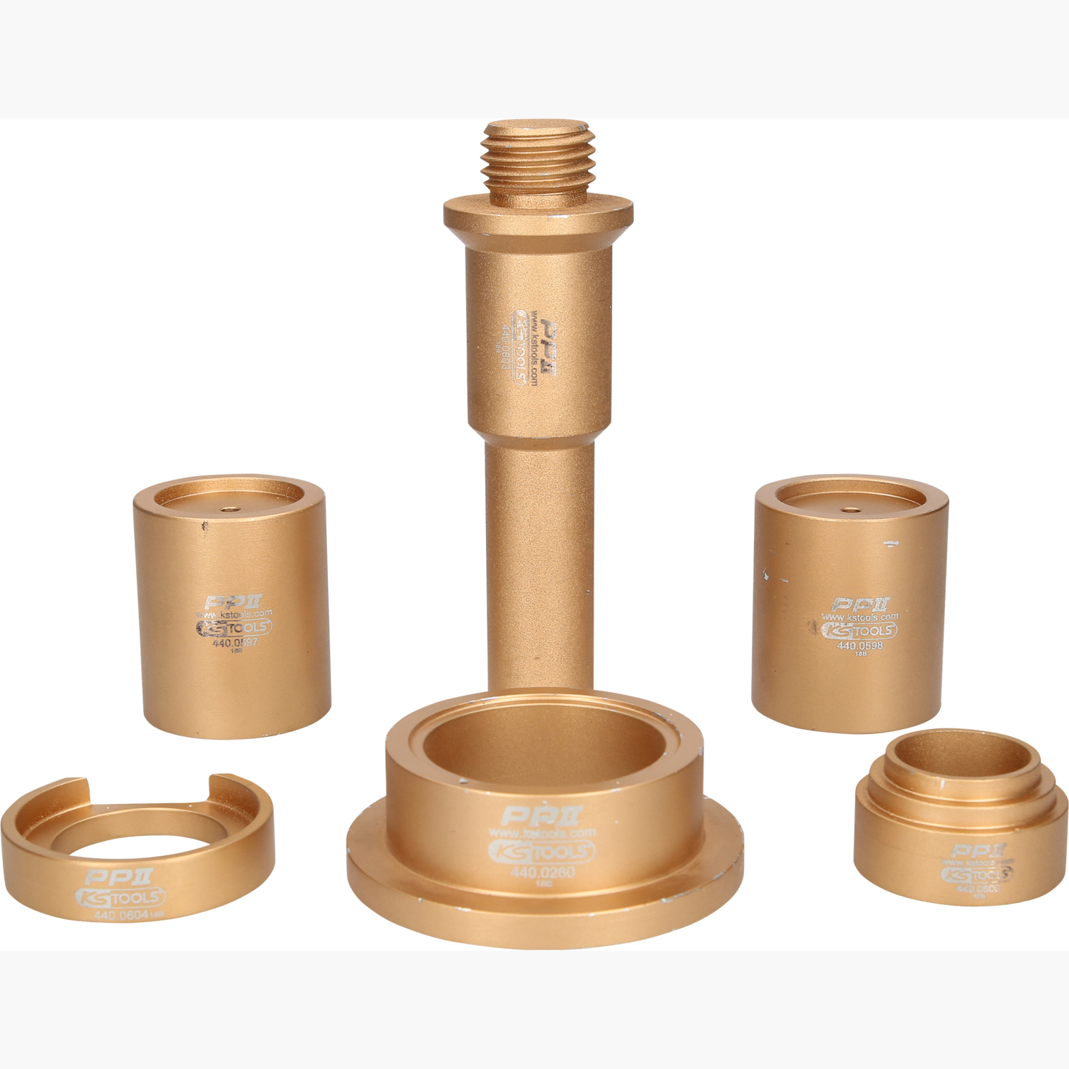 FOT_PRO_ALG_440.0600_SALL_AING_V1