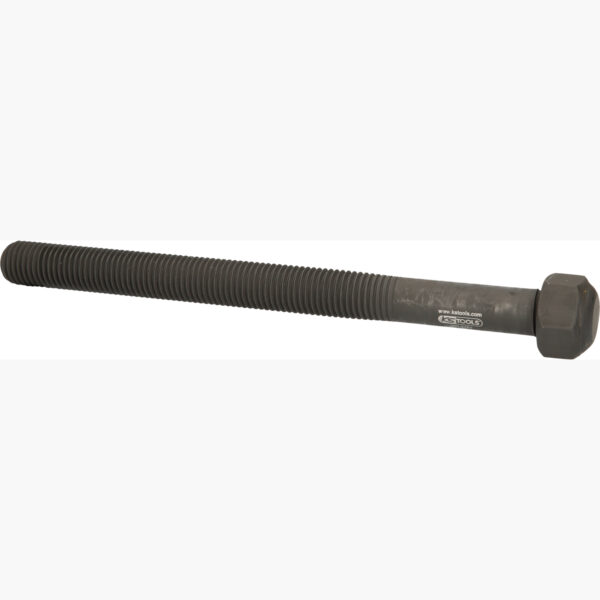 FOT_PRO_ALG_460.4761_SALL_AING_V1