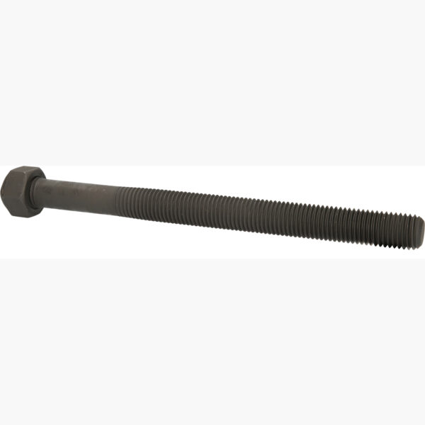 FOT_PRO_VAR_460.4761.2_SALL_AING_V1