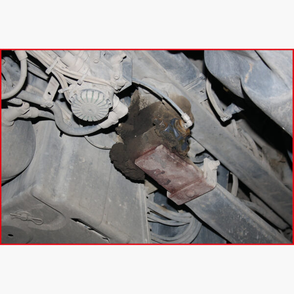 FOT_ANW_ALG_AUTO_450.022X(5-7).AW2_SALL_AING_V1