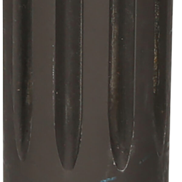 FOT_PRO_ALG_460.4648_SALL_AING_V1