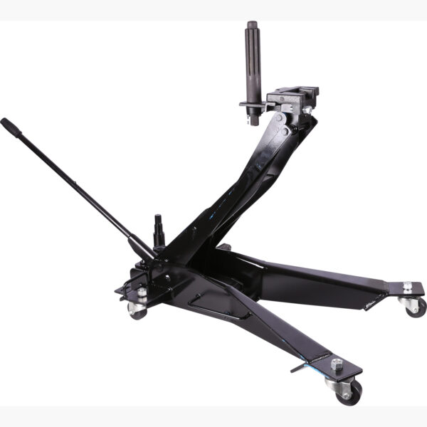 FOT_PRO_ALG_460.4646_SALL_AING_V1