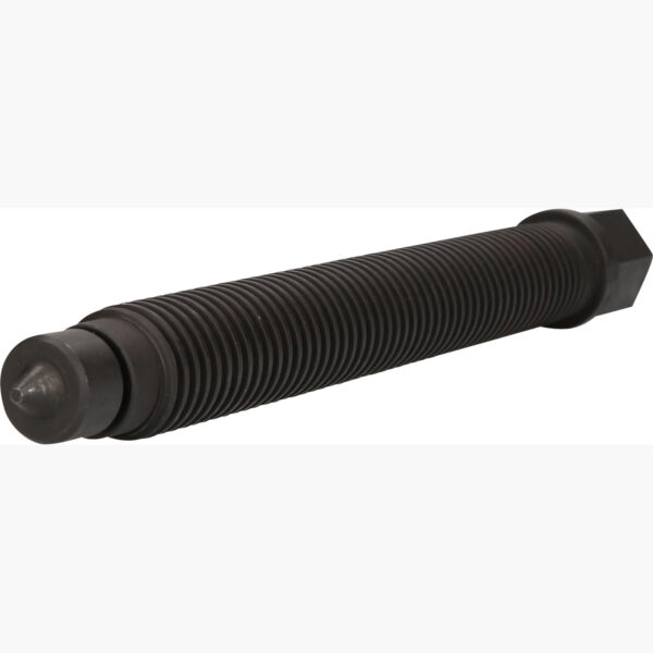 FOT_PRO_ALG_460.3857_SALL_AING_V1