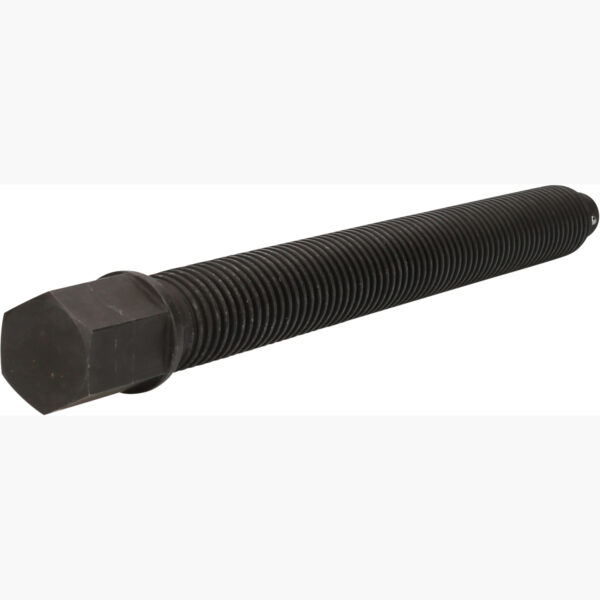 FOT_PRO_VAR_460.0489.2_SALL_AING_V1