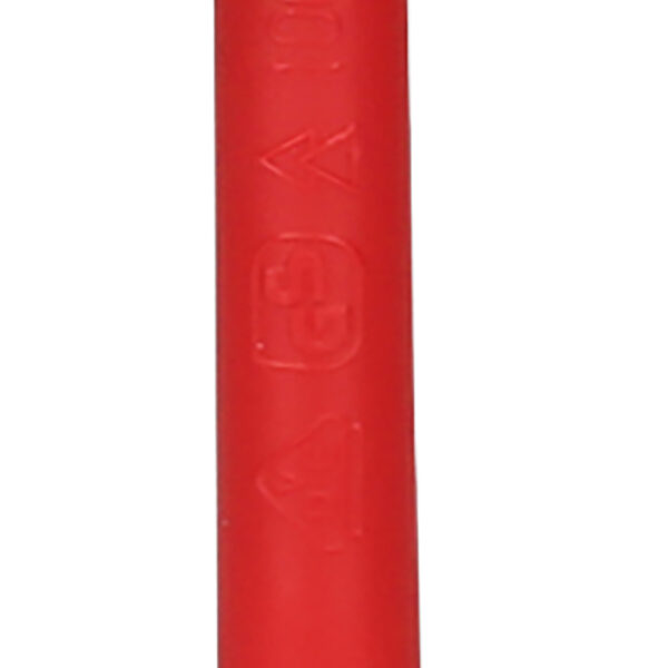 FOT_PRO_ALG_117.1521_SALL_AING_V1