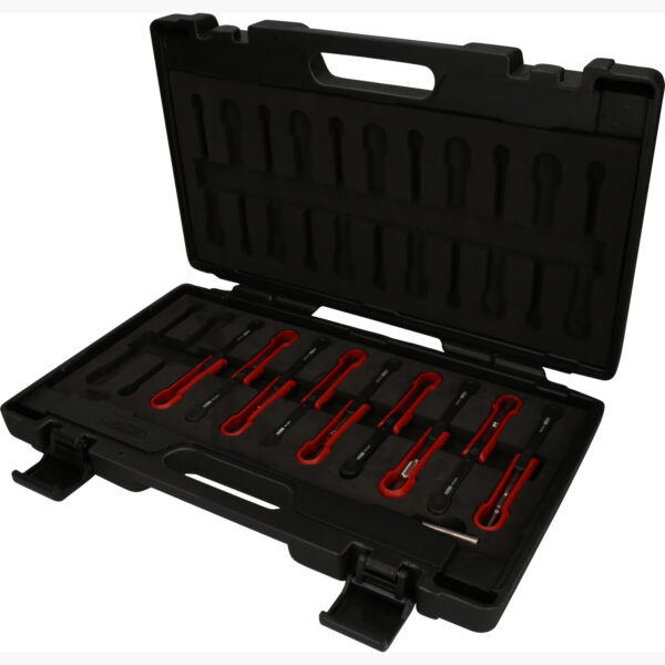 FOT_PRO_ALG_150.0800_SALL_AING_V1