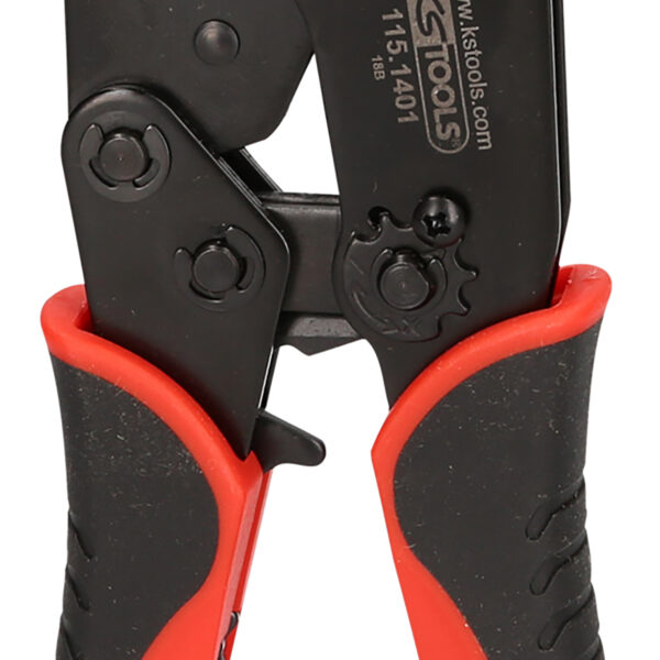 FOT_PRO_VAR_115.1205.4_SALL_AING_V1