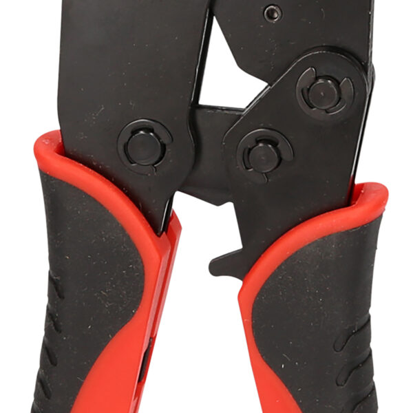 FOT_PRO_VAR_115.1205.6_SALL_AING_V1