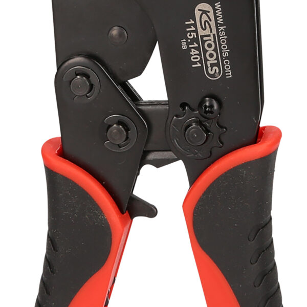 FOT_PRO_VAR_115.1120.4_SALL_AING_V1